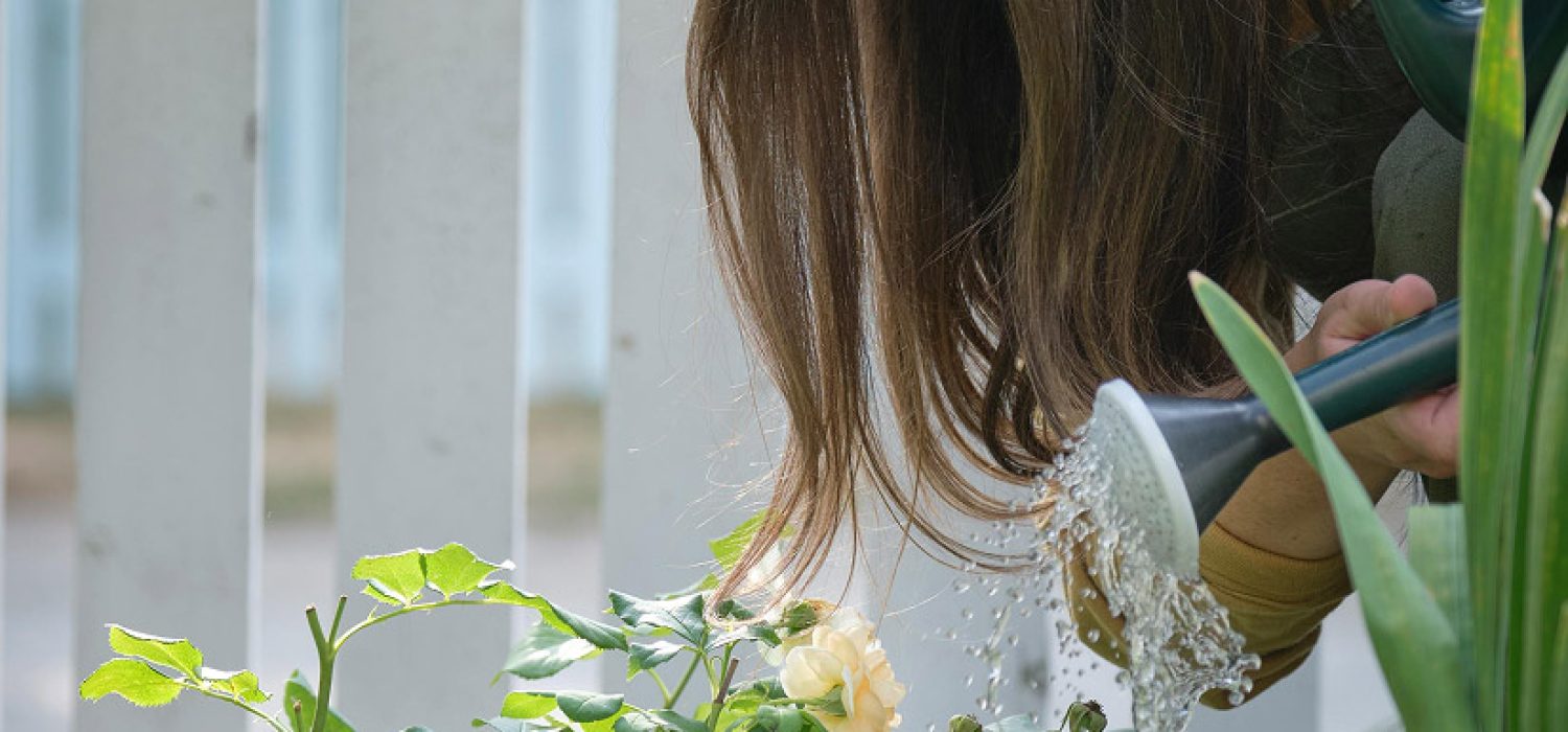 pexels-jane-thomson-1710934398-27950666